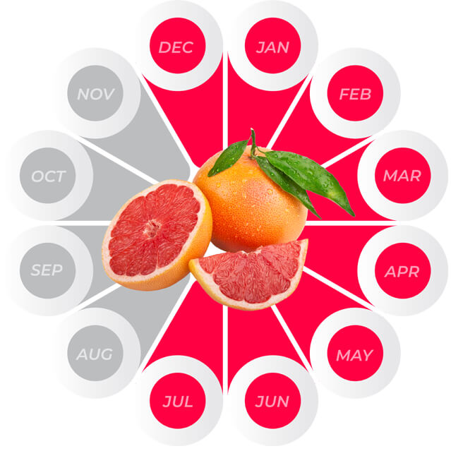Pink Grapefruit availability December through July