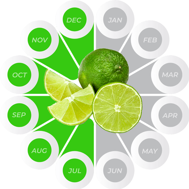 Key Lime availability May through September